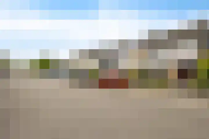 Bachlaan 15 Naaldwijk thumbnail 35