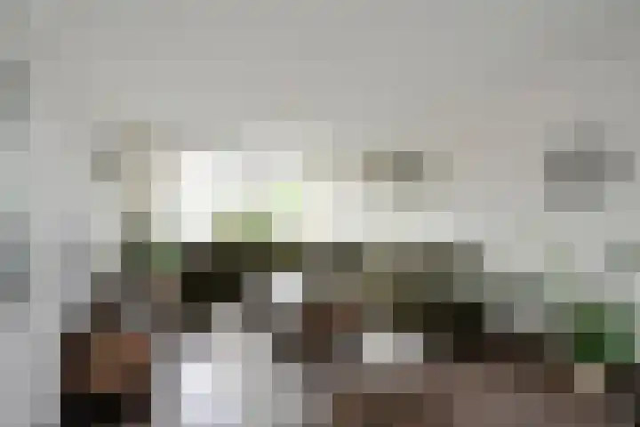 Bachlaan 15 Naaldwijk thumbnail 6