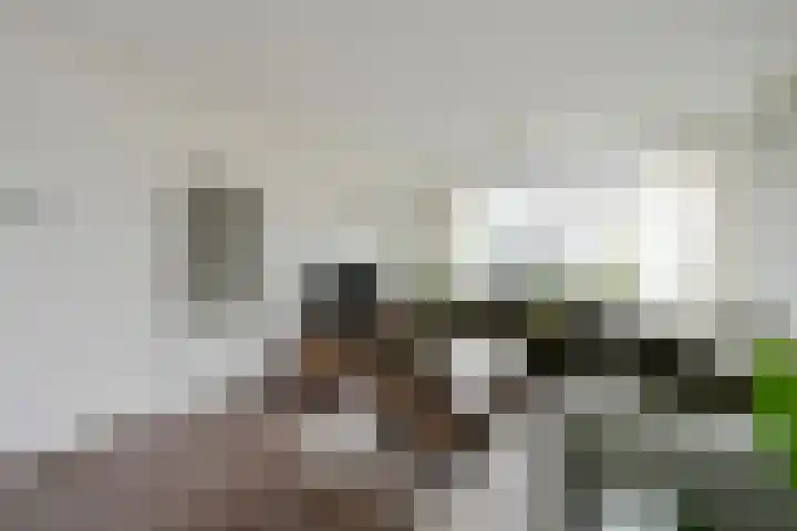 Bachlaan 15 Naaldwijk thumbnail 7