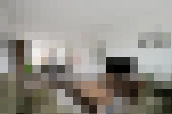 Bachlaan 15 Naaldwijk thumbnail 8