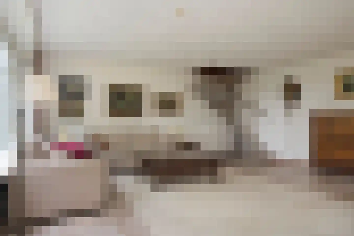 Bachlaan 150 Doorwerth thumbnail 13