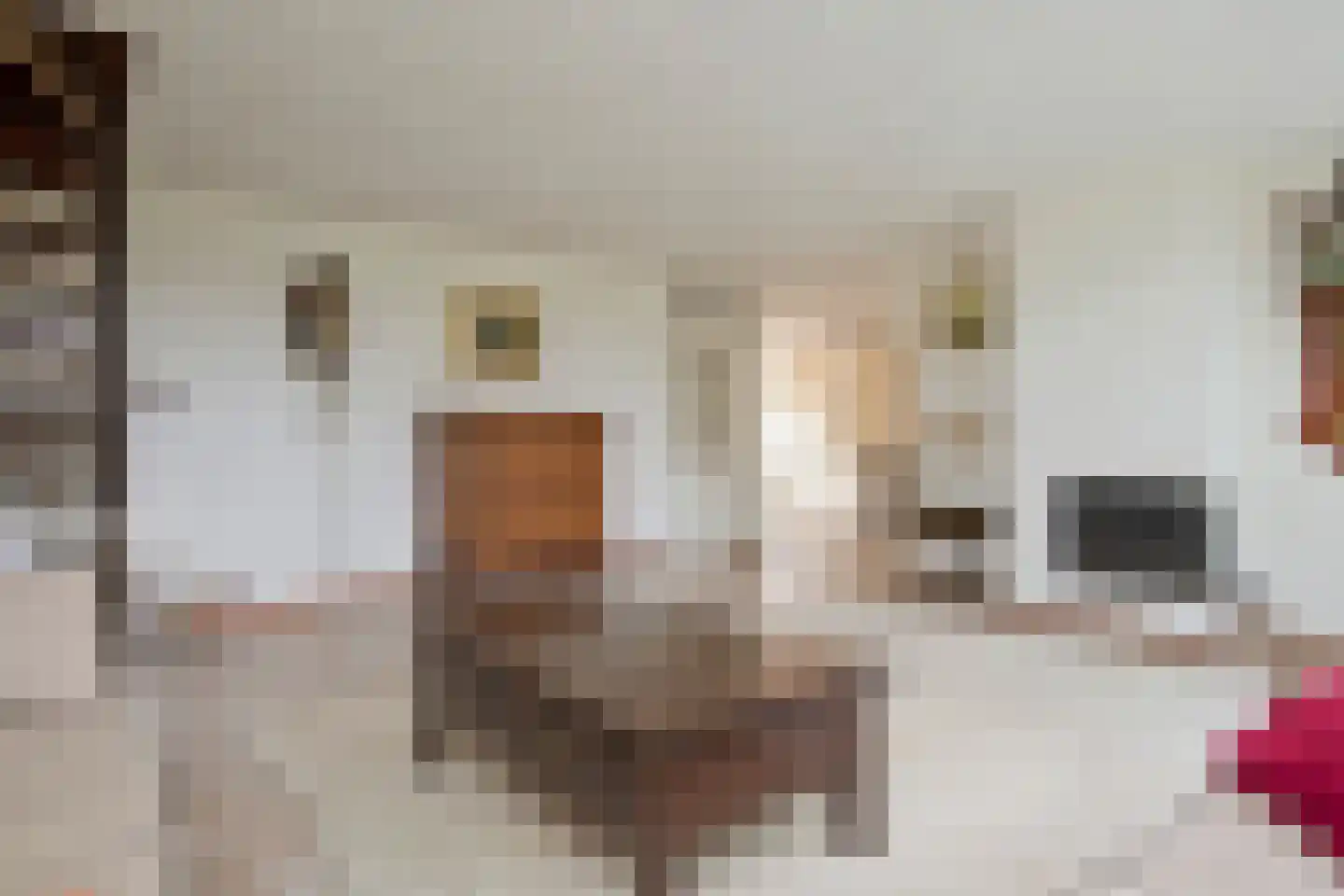 Bachlaan 150 Doorwerth thumbnail 14