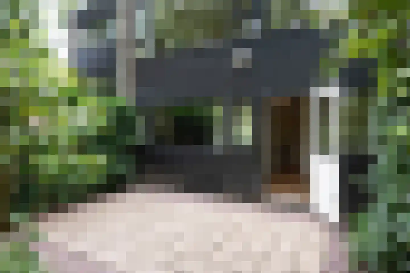 Bachlaan 150 Doorwerth thumbnail 57