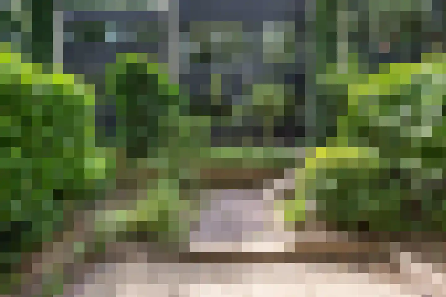 Bachlaan 150 Doorwerth thumbnail 58