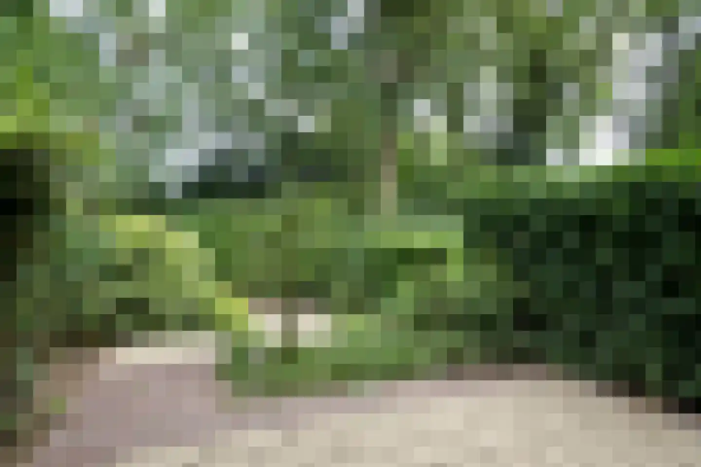 Bachlaan 150 Doorwerth thumbnail 59