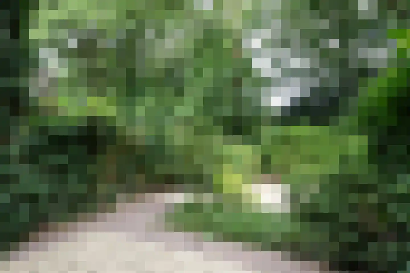 Bachlaan 150 Doorwerth thumbnail 60