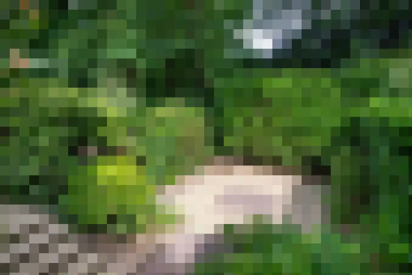 Bachlaan 150 Doorwerth thumbnail 61