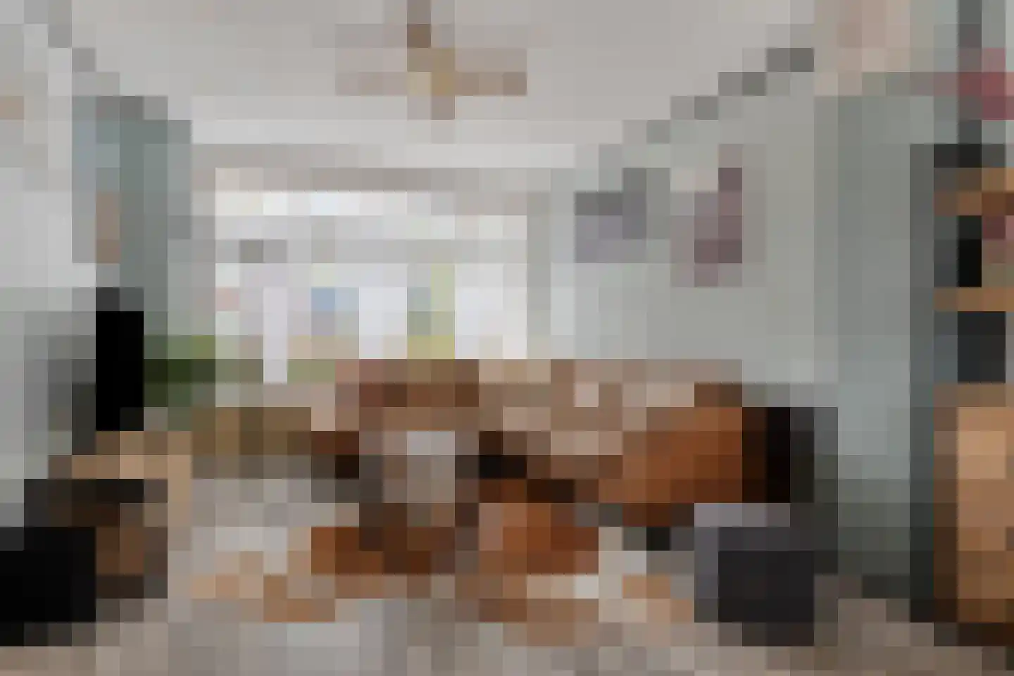 Bachlaan 152 Terneuzen thumbnail 11