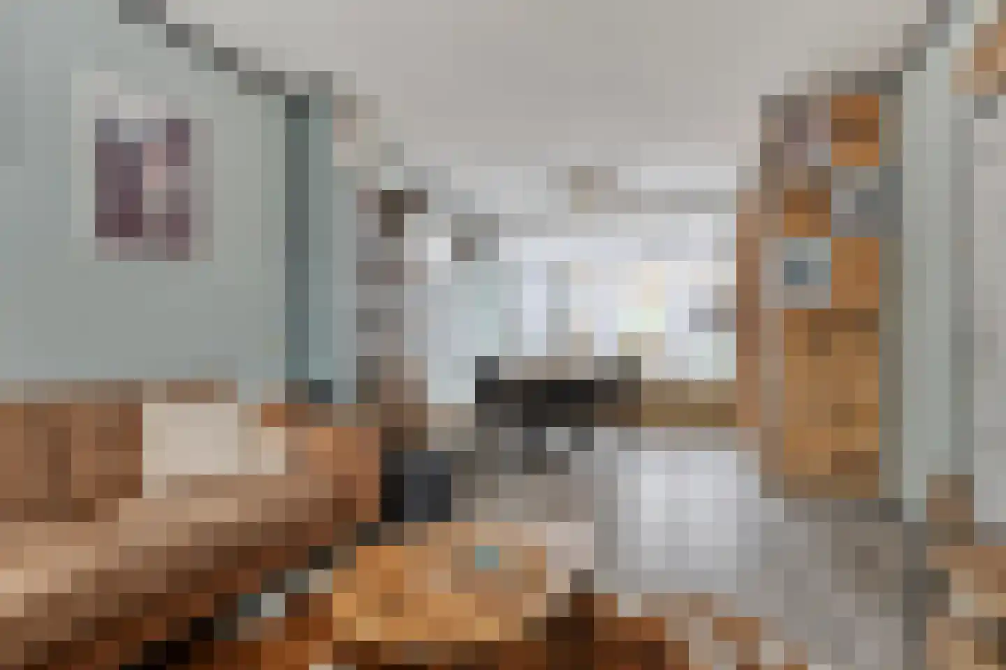 Bachlaan 152 Terneuzen thumbnail 13