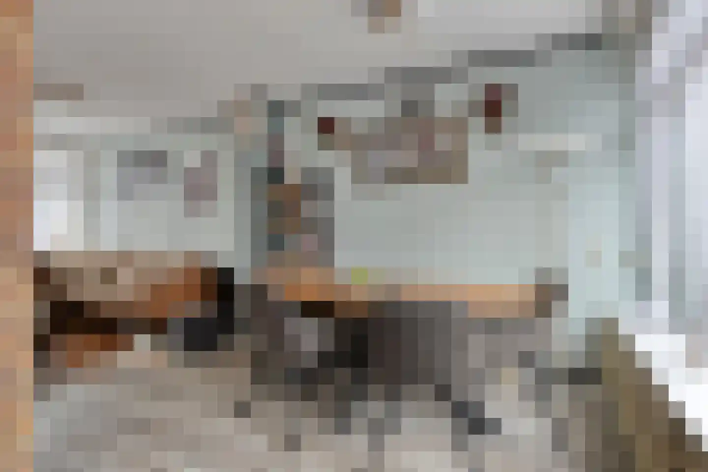 Bachlaan 152 Terneuzen thumbnail 17