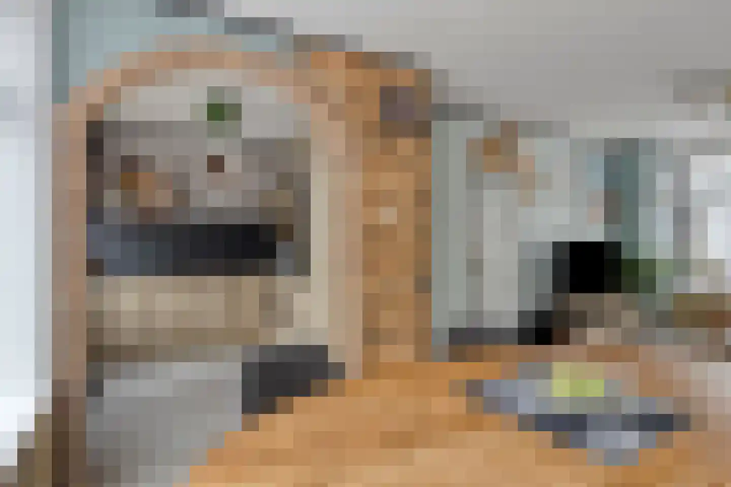 Bachlaan 152 Terneuzen thumbnail 18