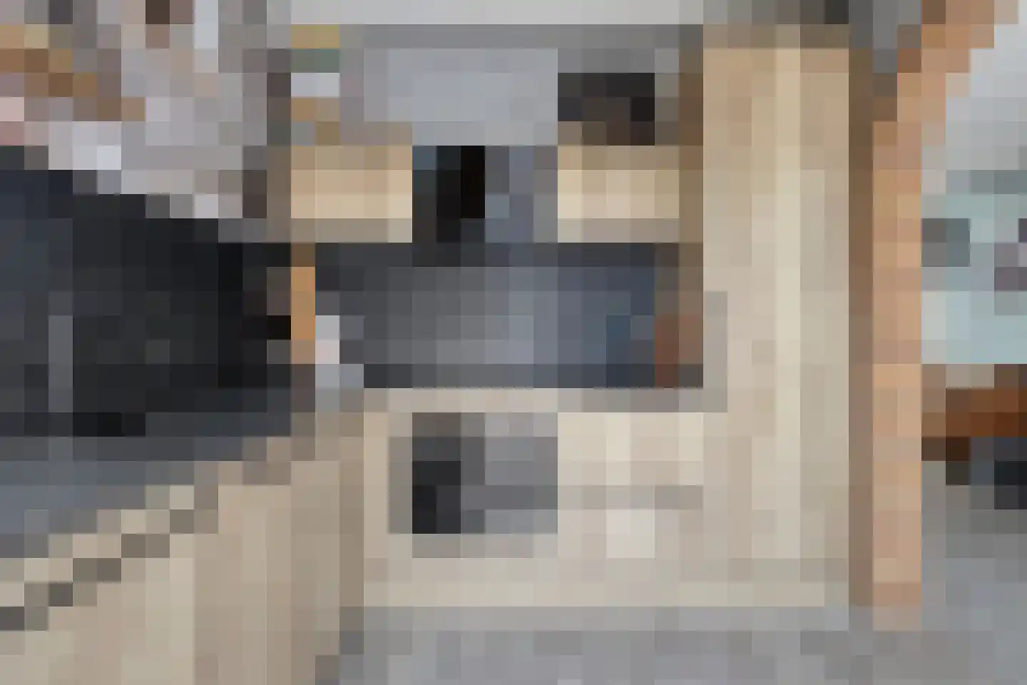 Bachlaan 152 Terneuzen thumbnail 22