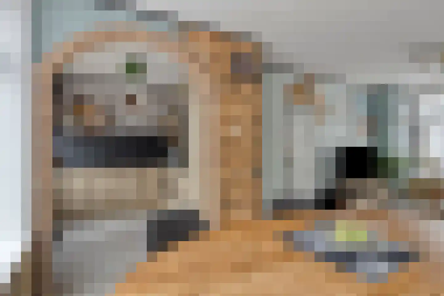Bachlaan 152 Terneuzen thumbnail 5