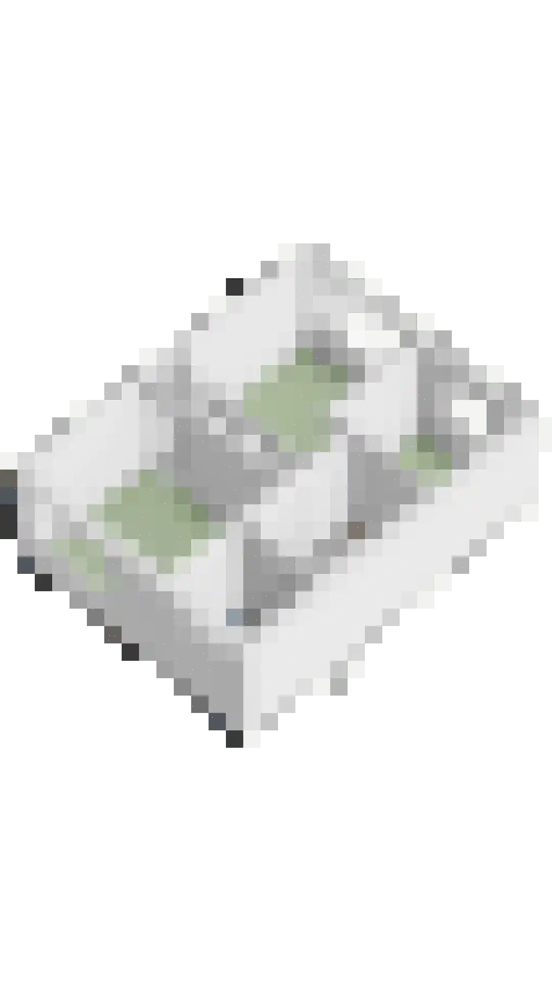 Bachlaan 152 Terneuzen thumbnail 55