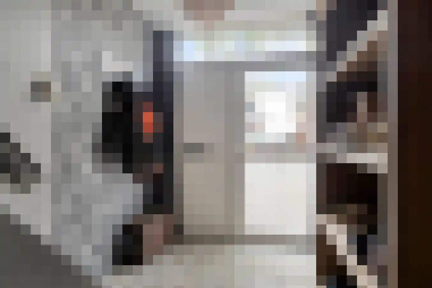 Bachlaan 152 Terneuzen thumbnail 8