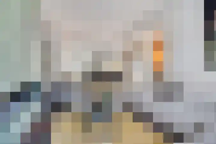 Bachlaan 16 Heesch thumbnail 10