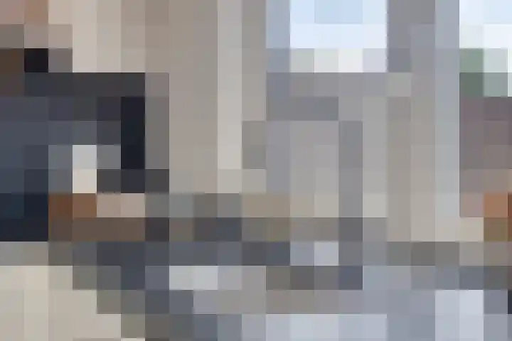 Bachlaan 16 Heesch thumbnail 16