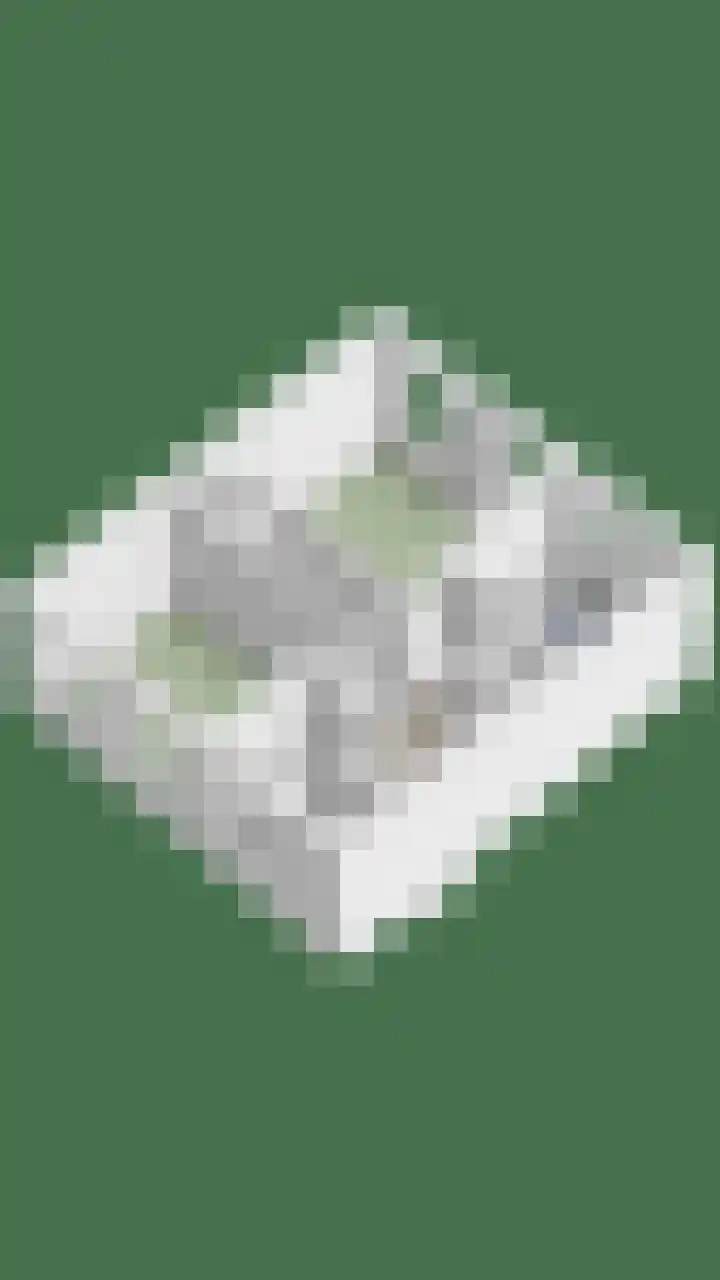 Bachlaan 16 Heesch thumbnail 40