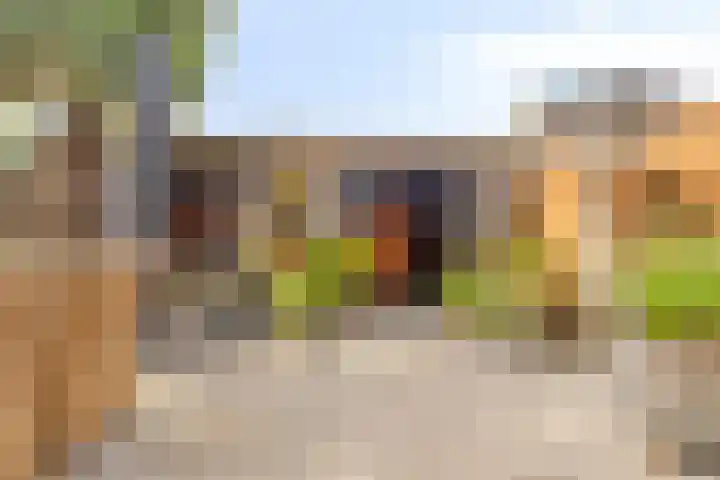 Bachlaan 16 Heesch thumbnail 5