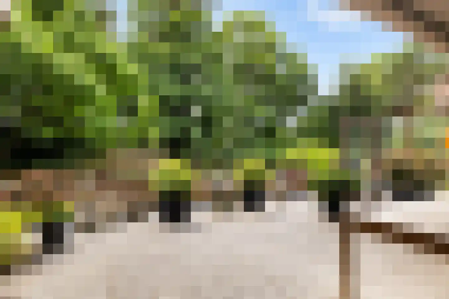 Bachlaan 167 Zeist thumbnail 26