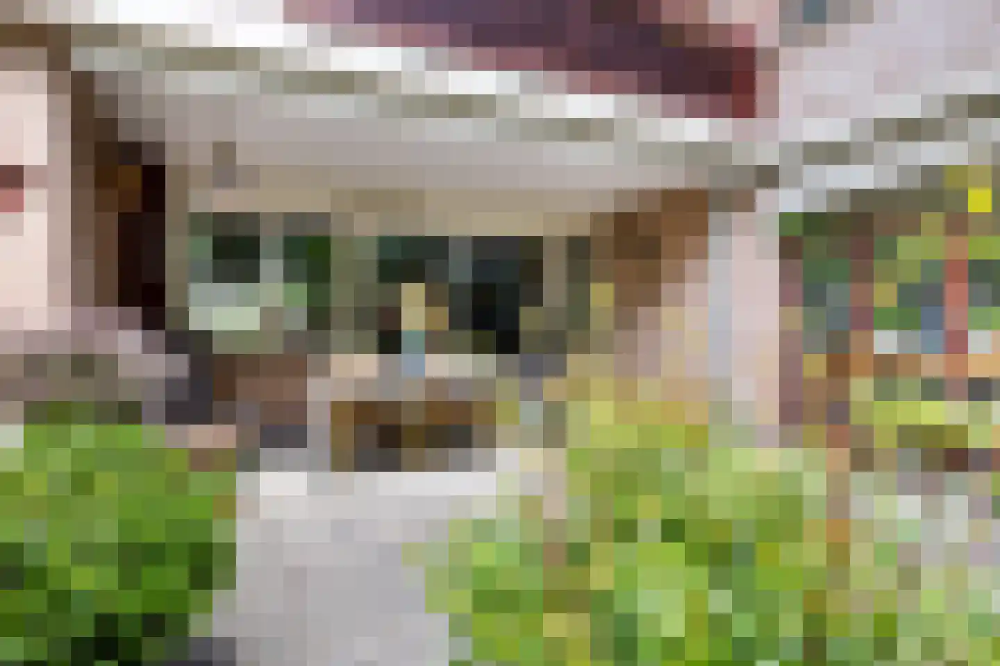 Bachlaan 167 Zeist thumbnail 28
