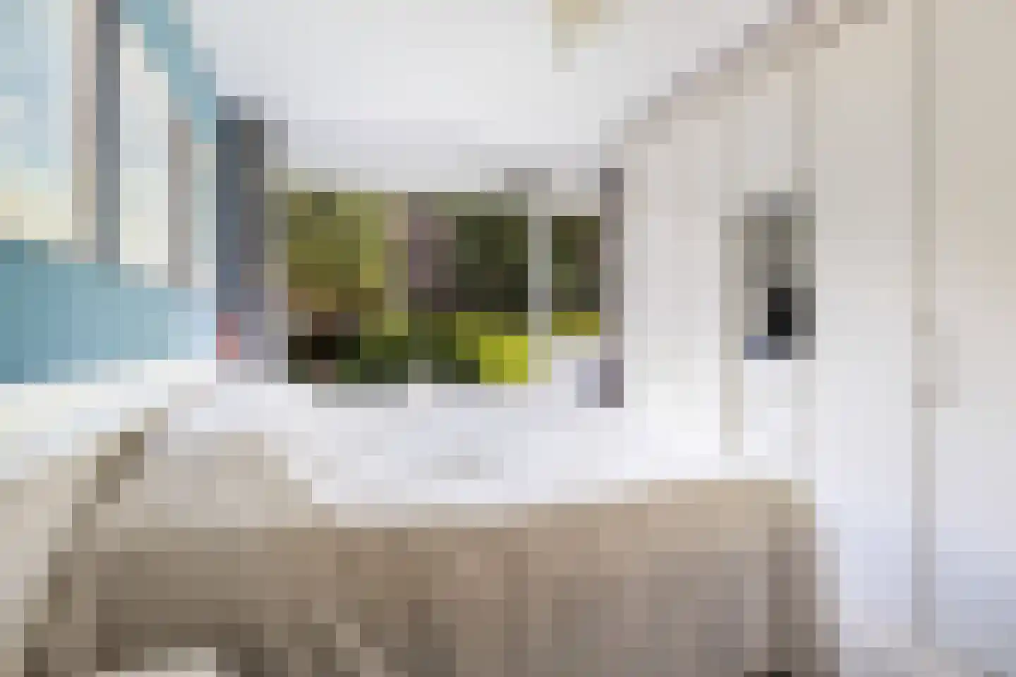 Bachlaan 167 Zeist thumbnail 30