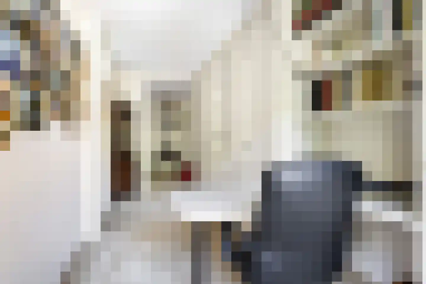 Bachlaan 167 Zeist thumbnail 34