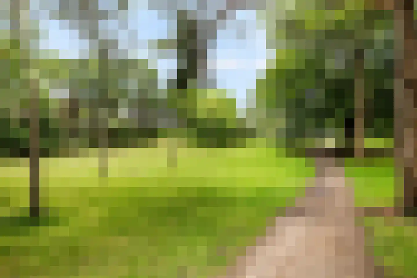 Bachlaan 167 Zeist thumbnail 43