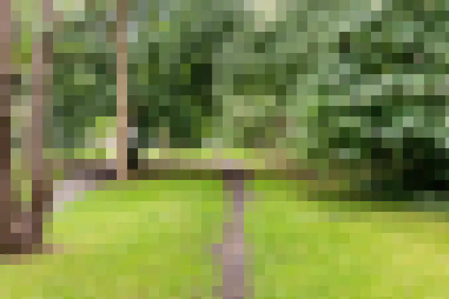 Bachlaan 167 Zeist thumbnail 44