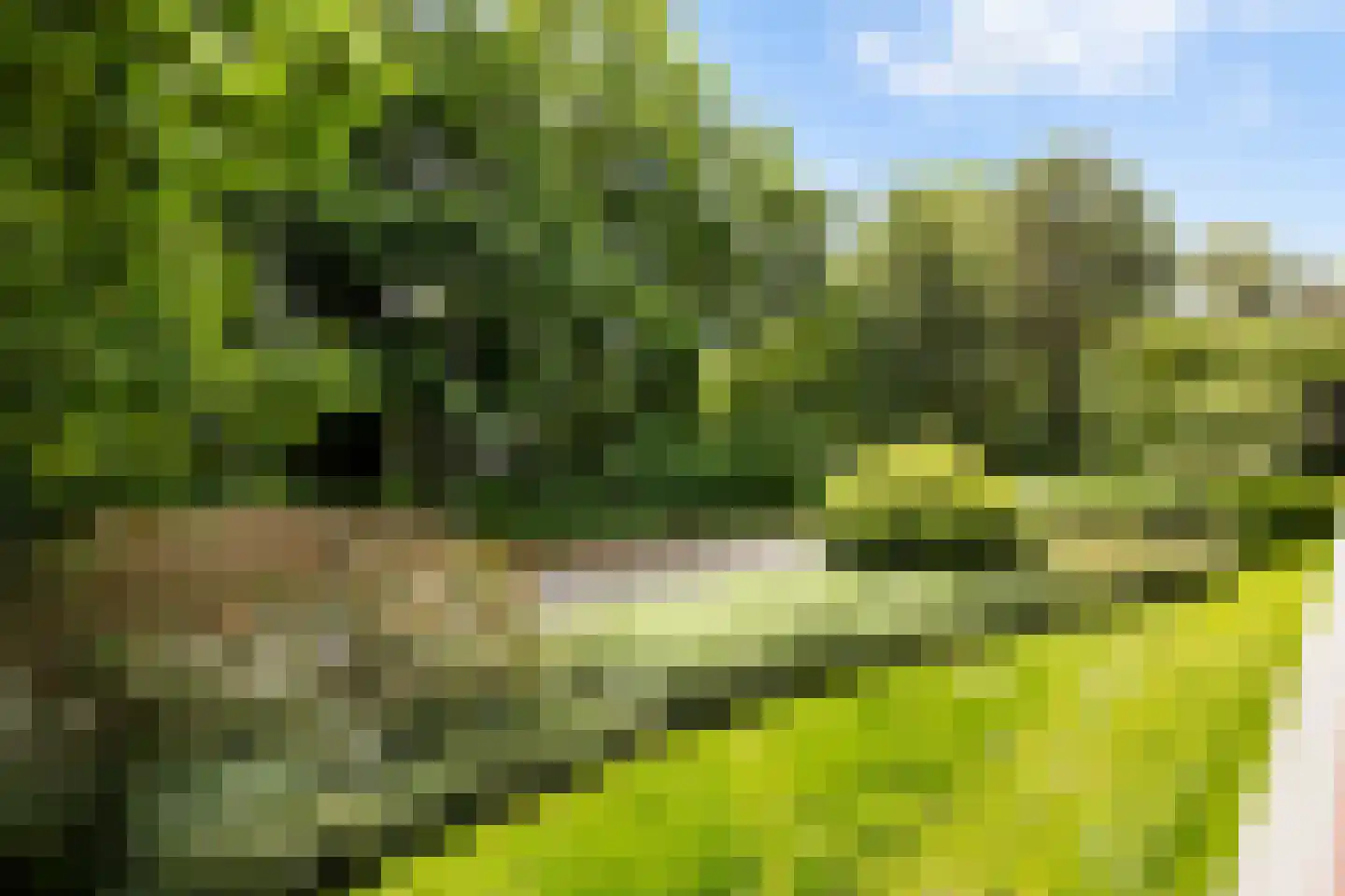 Bachlaan 167 Zeist thumbnail 45