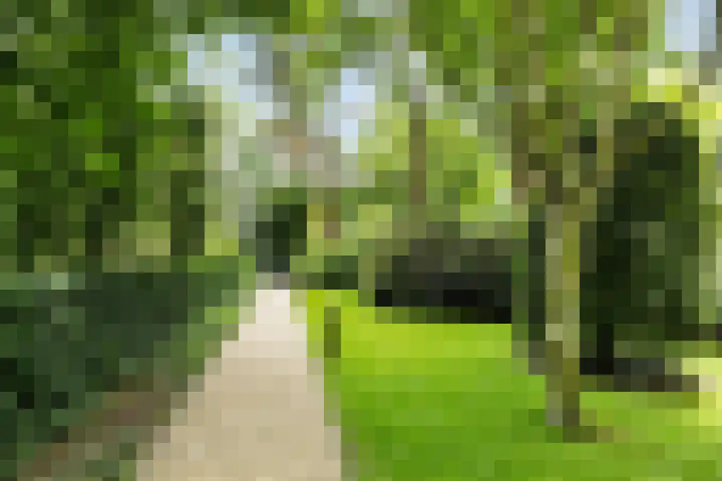 Bachlaan 167 Zeist thumbnail 46