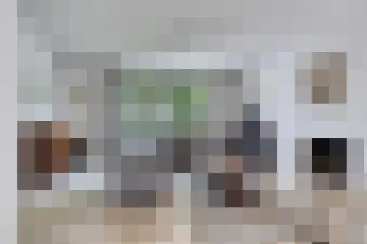 Bachlaan 18 Helmond thumbnail 22