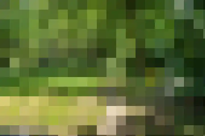 Bachlaan 18 Helmond thumbnail 6