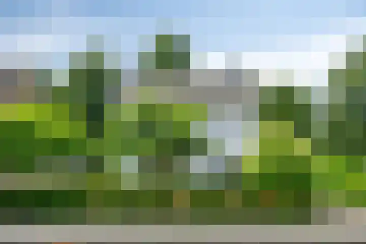 Bachlaan 18 Helmond thumbnail 8