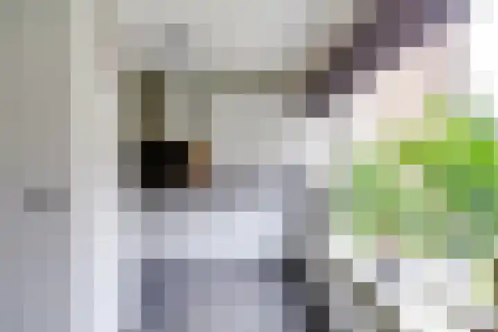 Bachlaan 181 Zeist thumbnail 12