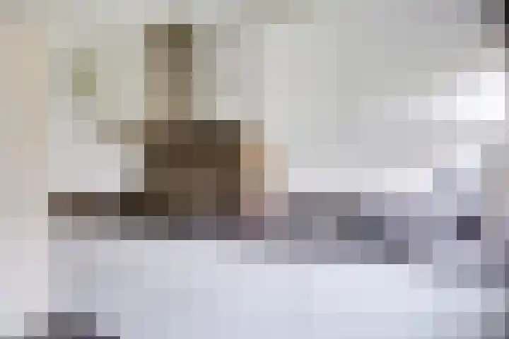 Bachlaan 181 Zeist thumbnail 13