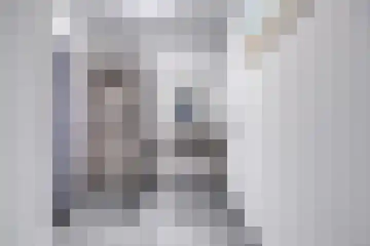 Bachlaan 181 Zeist thumbnail 20