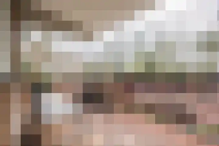Bachlaan 181 Zeist thumbnail 24