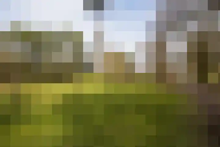 Bachlaan 181 Zeist thumbnail 35