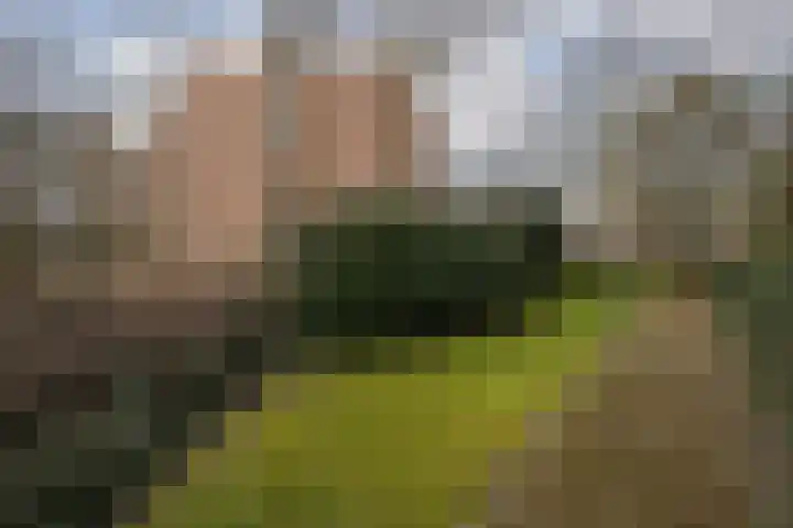 Bachlaan 181 Zeist thumbnail 39