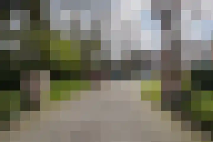 Bachlaan 181 Zeist thumbnail 42