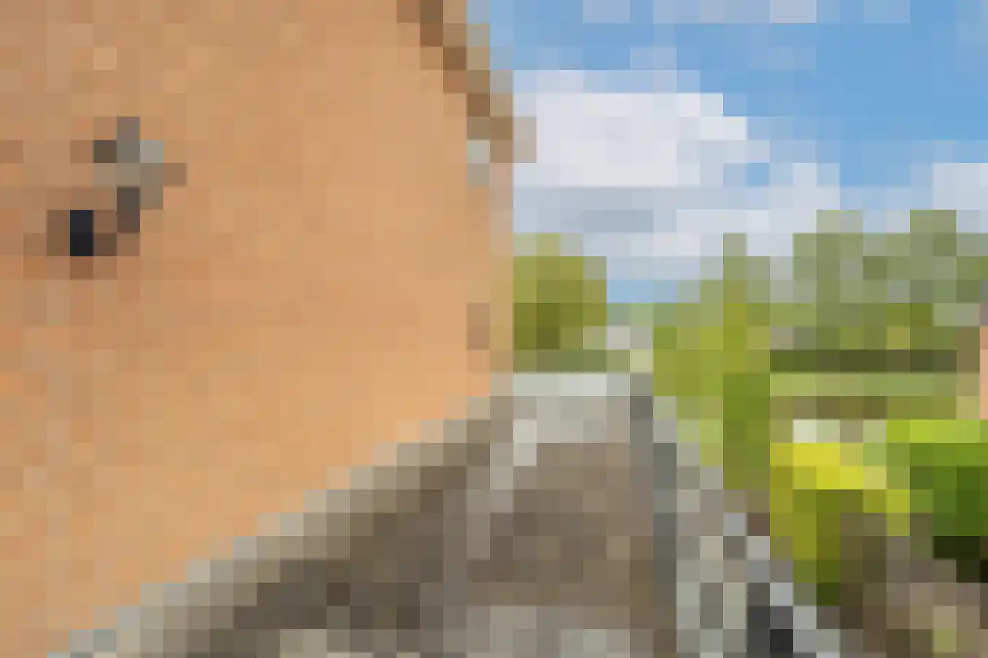 Bachlaan 186 Oud-Beijerland thumbnail 36