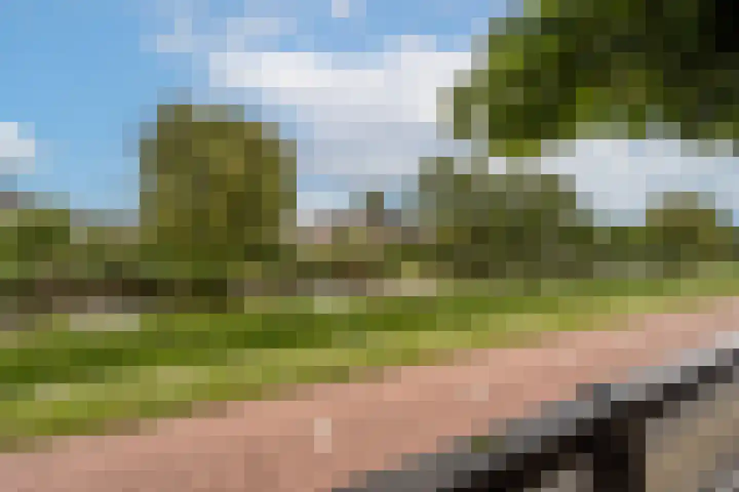 Bachlaan 186 Oud-Beijerland thumbnail 47