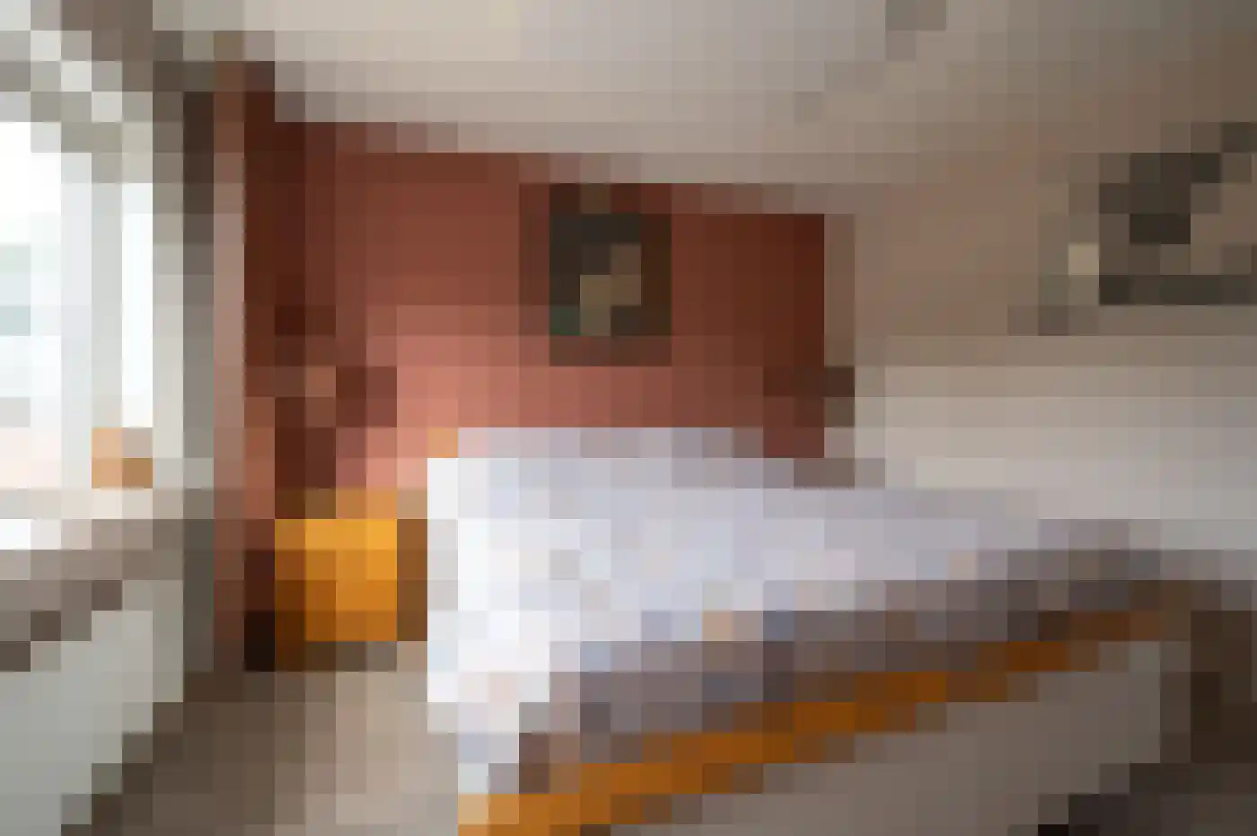 Bachlaan 2 Apeldoorn thumbnail 34