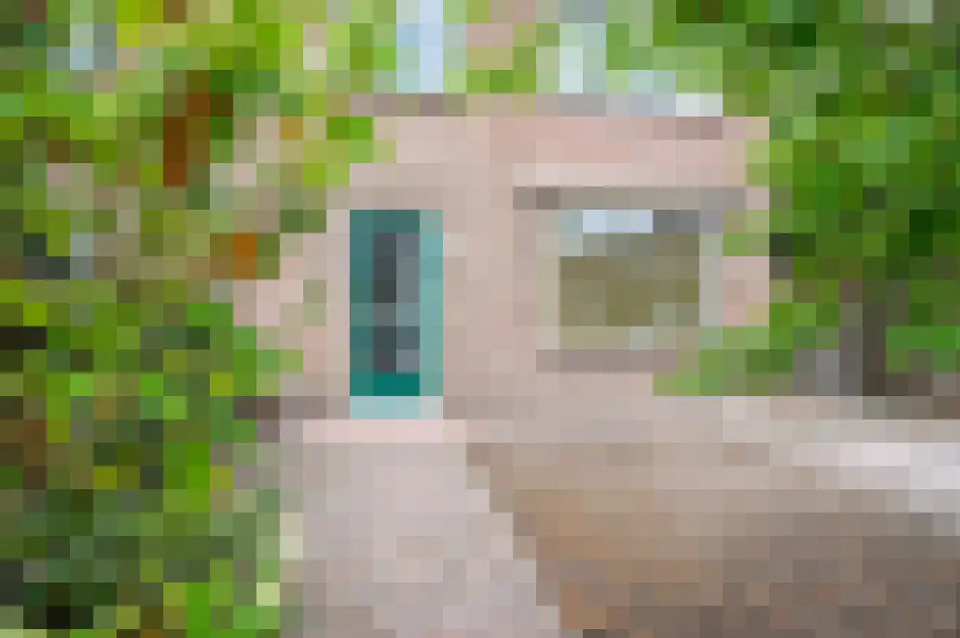 Bachlaan 2 Apeldoorn thumbnail 6