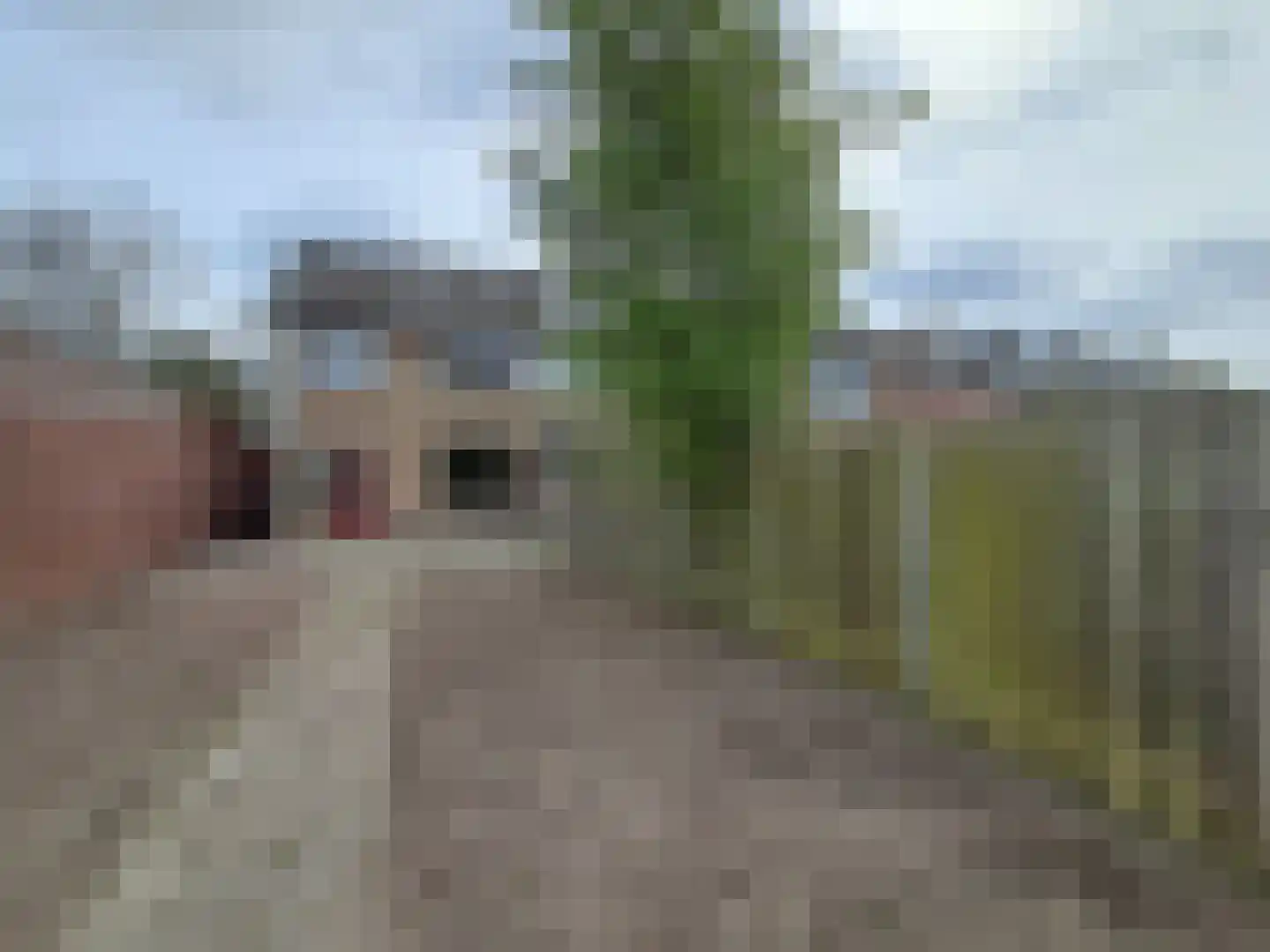 Bachlaan 2 Eindhoven thumbnail 18