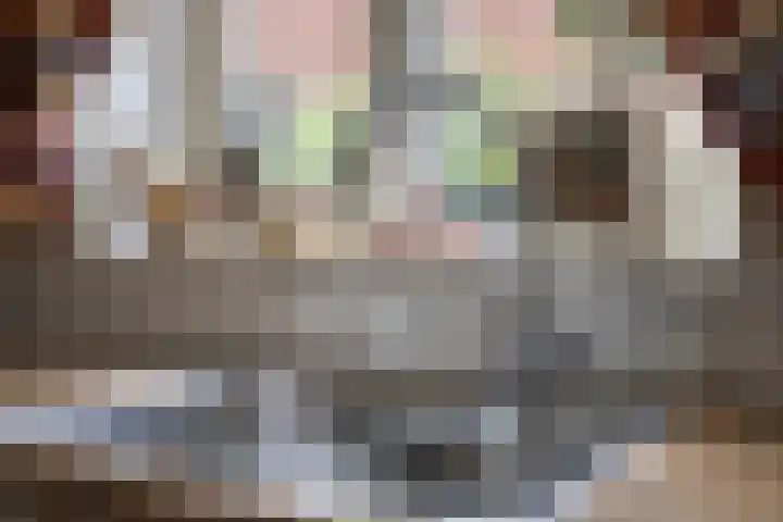 Bachlaan 20 Oud-Beijerland thumbnail 19