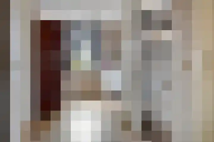 Bachlaan 20 Oud-Beijerland thumbnail 21