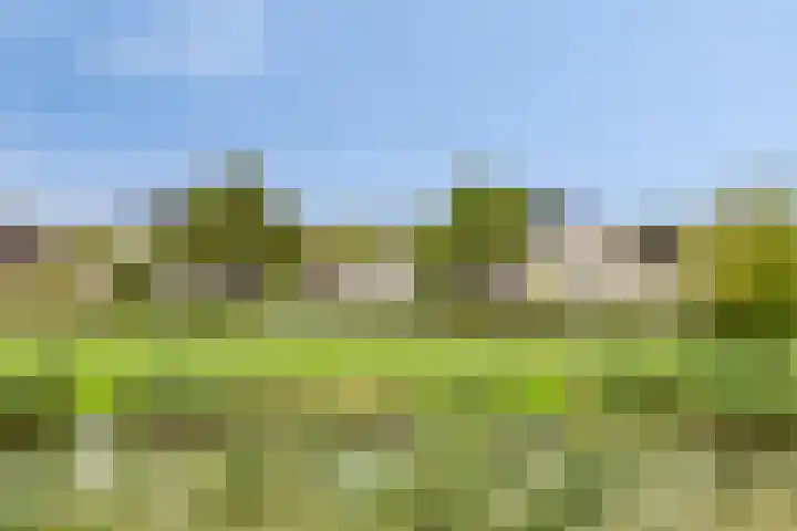 Bachlaan 20 Oud-Beijerland thumbnail 36