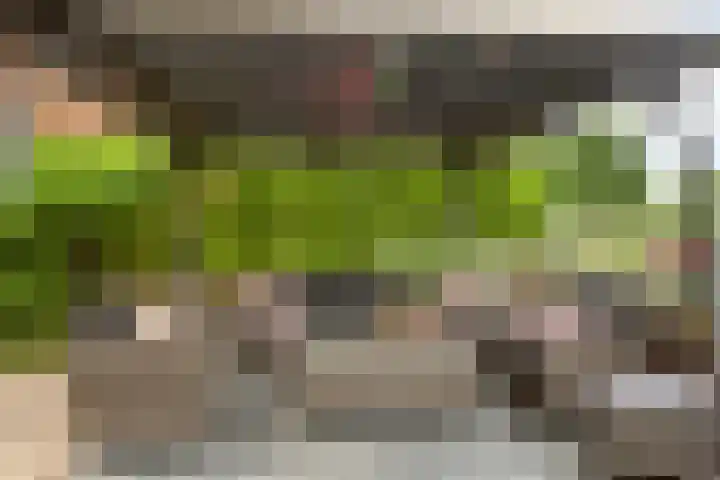 Bachlaan 20 Oud-Beijerland thumbnail 38